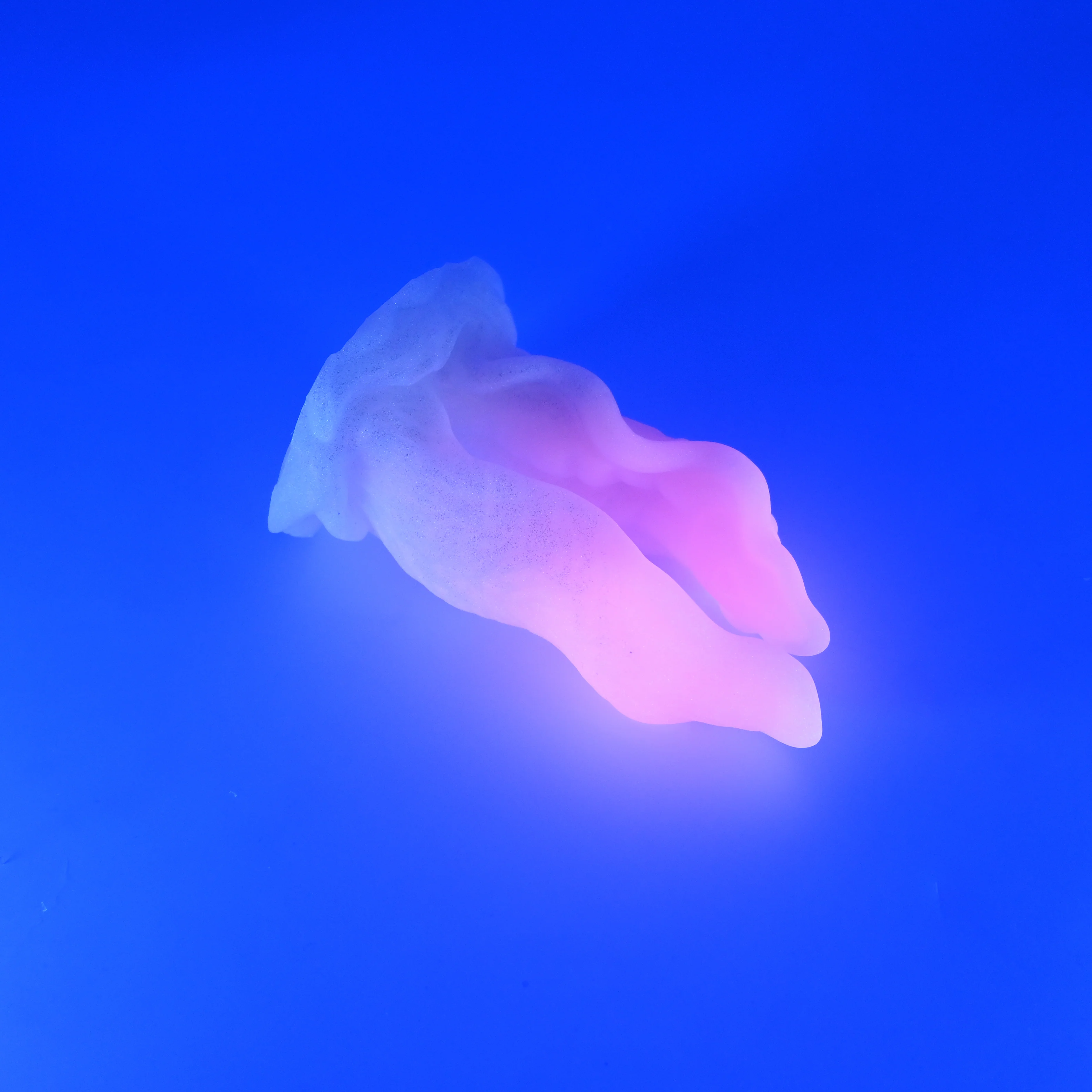 A2MJF57 Alara Small 0050 UV GITD - Image 3