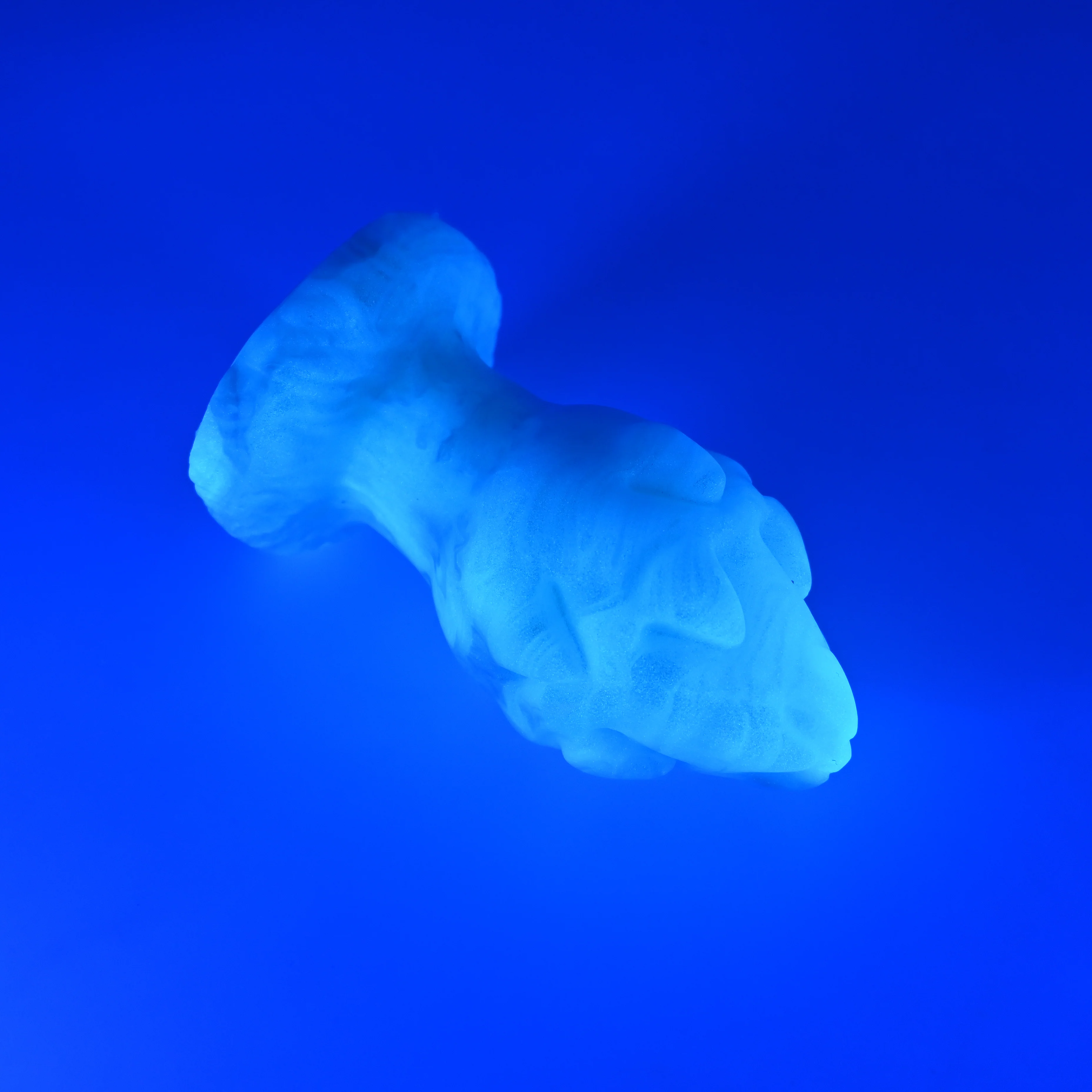 F3MJD87 Dragonfruit Plug Medium 0050 UV GITD - Image 3