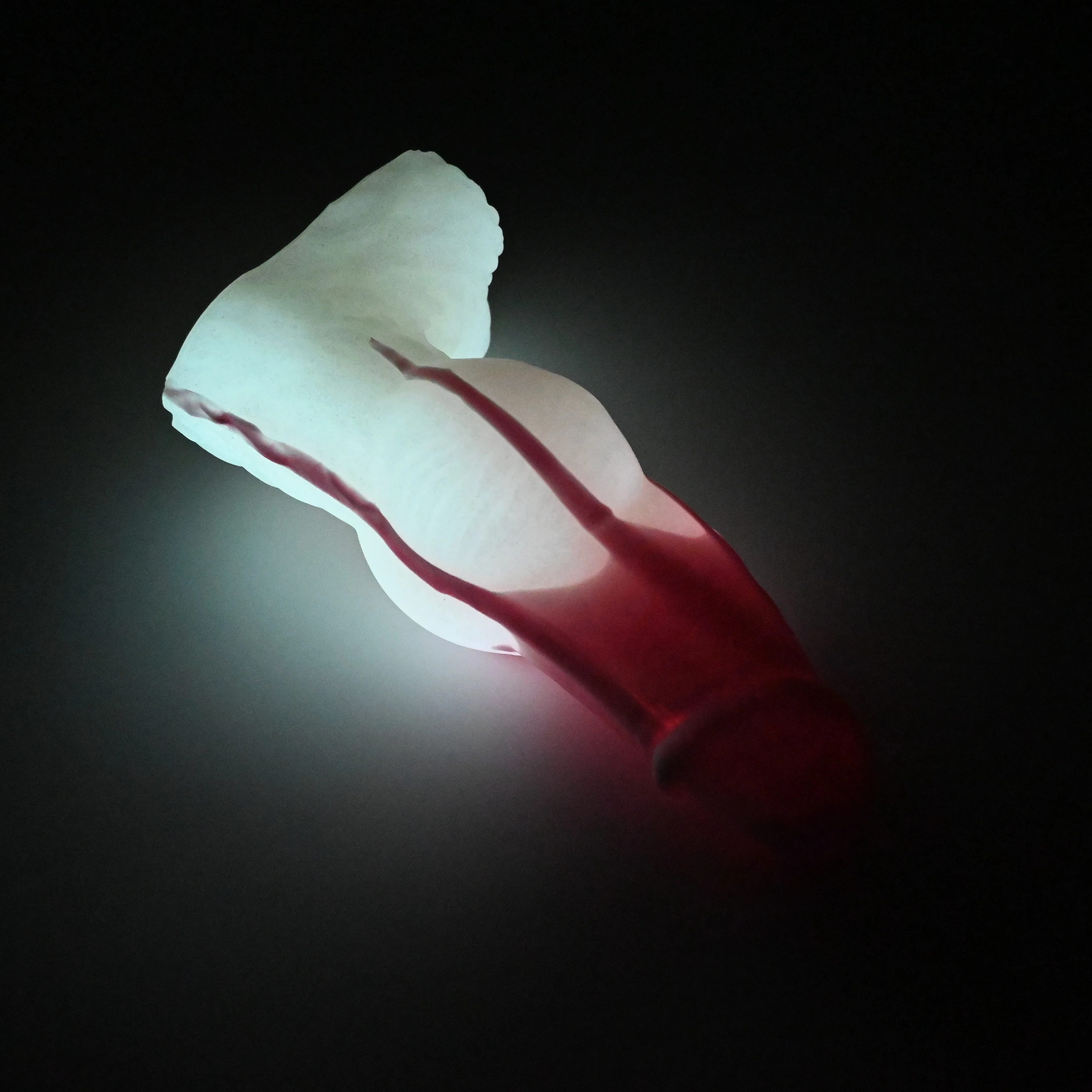 53MJF43 Jacob Medium 0050 UV GITD GOBLIN HOLE - Image 4