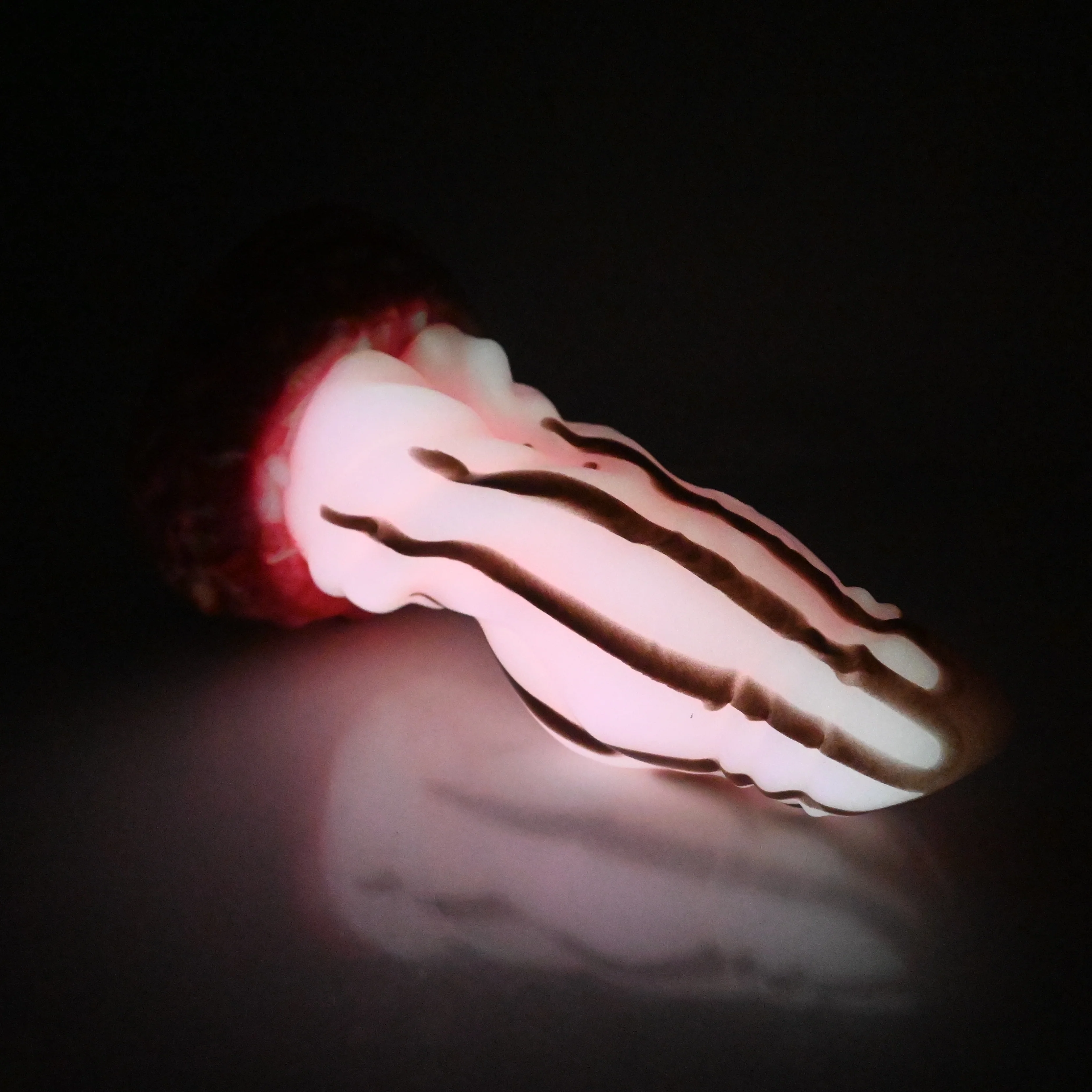 J4SDE33 Jupiter Large 0030 UV GITD - Image 4