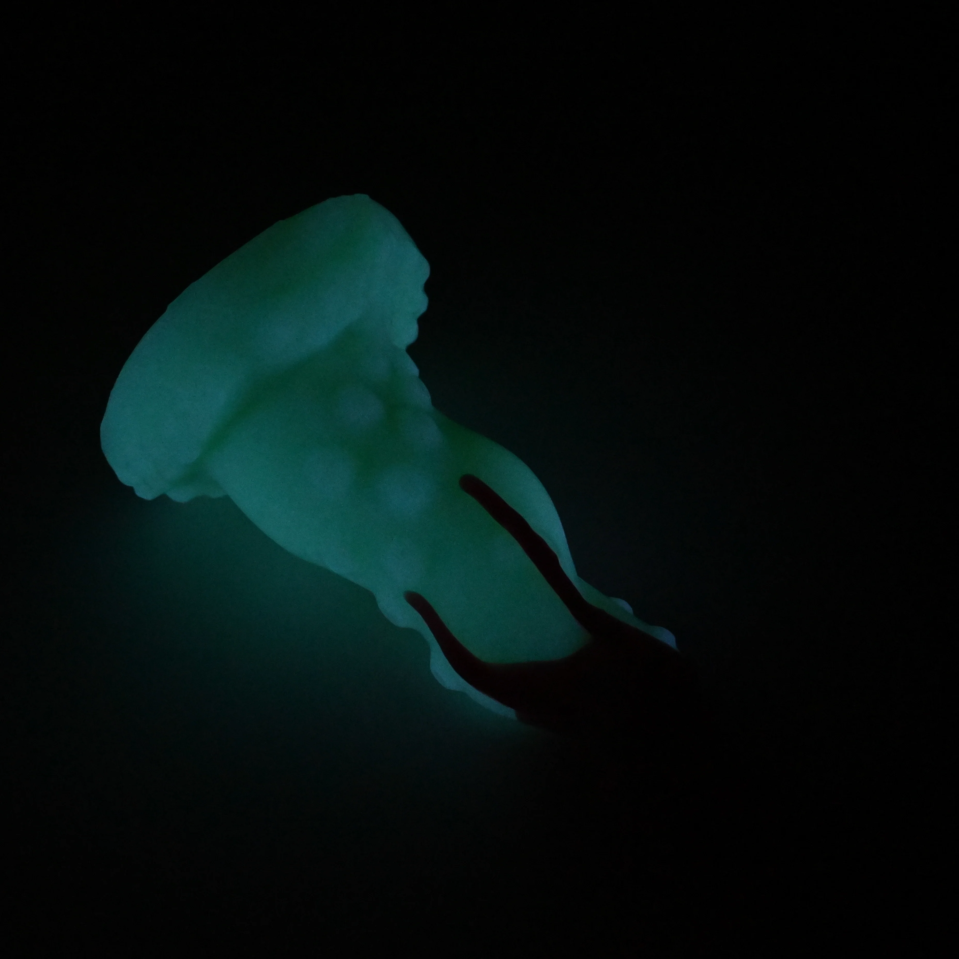 N2SHB39u Nereid Small 0030 UV GITD GHU - Image 4